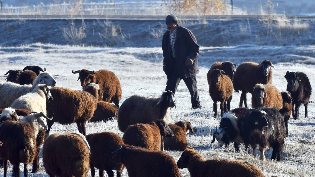 Türkiye'nin 'Sibirya'sı olarak biliniyor: Hava eksi 7'yi gördü, camları buz tuttu 7