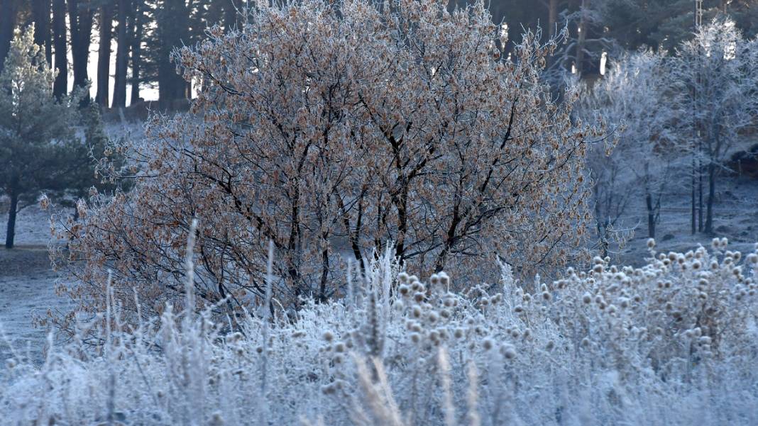 Türkiye'nin 'Sibirya'sı olarak biliniyor: Hava eksi 7'yi gördü, camları buz tuttu 2