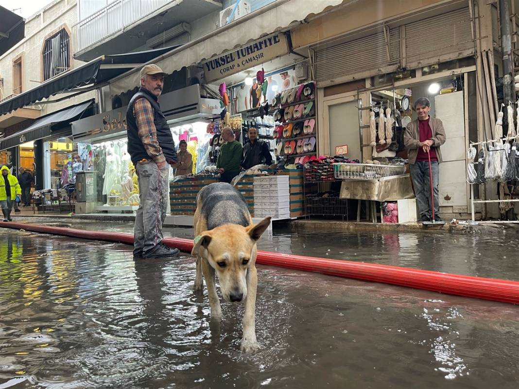 İzmir'de kırmızı alarm! 4 ilçeyi vurdu, tahliye çalışmaları başladı 41