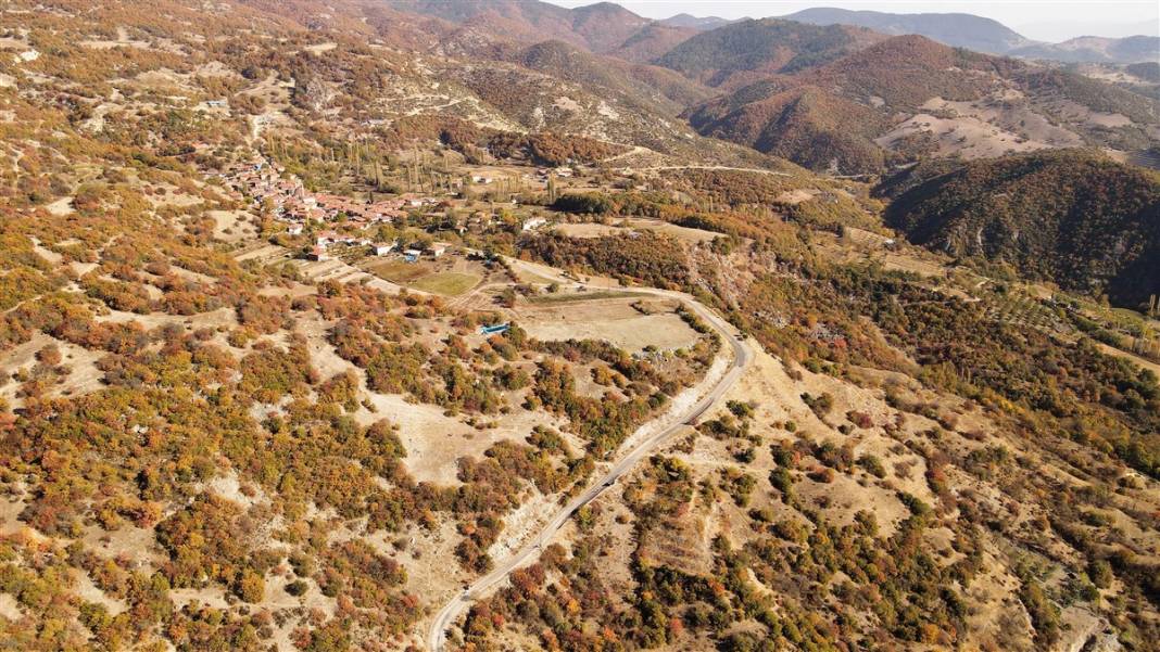 Doğanın hediyesi! İsmini duyan şaşırıyor, faydaları saymakla bitmiyor 3