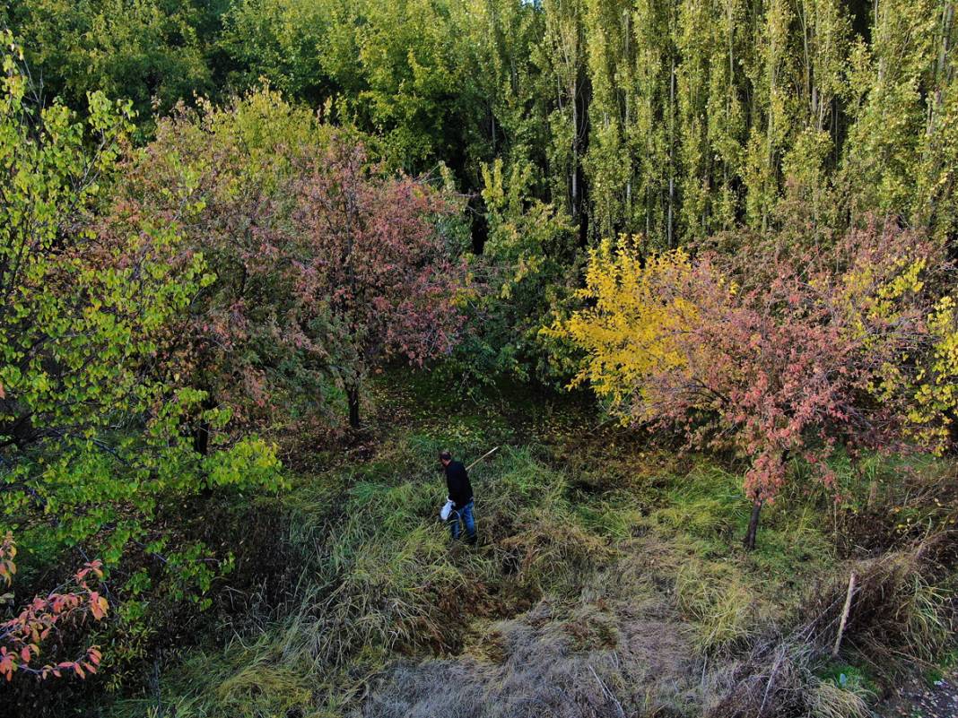 8 bin yıllık miras... UNESCO'nun göz bebeği büyülüyor 9