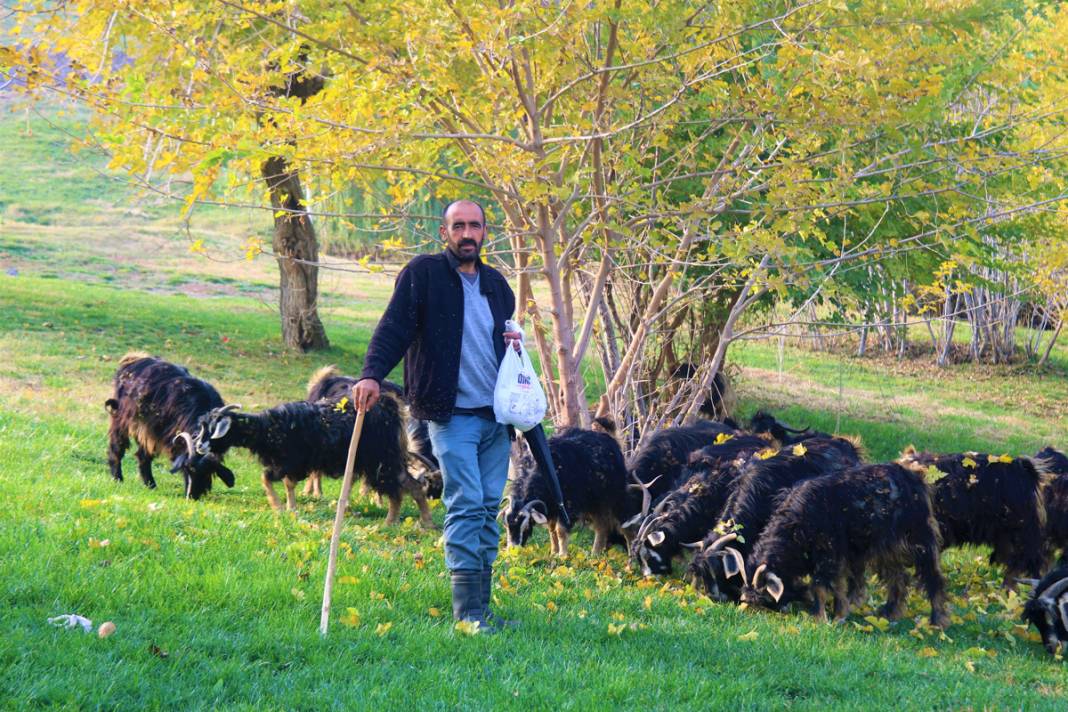 8 bin yıllık miras... UNESCO'nun göz bebeği büyülüyor 4