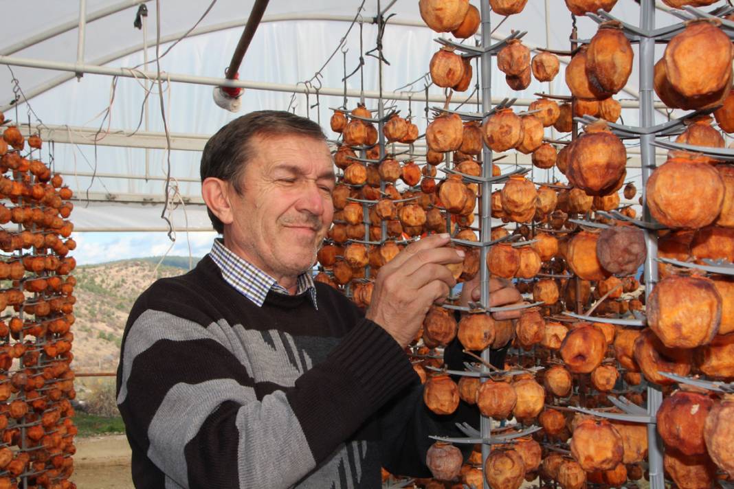 Kurusu yaşından 10 kat daha pahalı! Almak için çevre illerden yola düşüyorlar 4