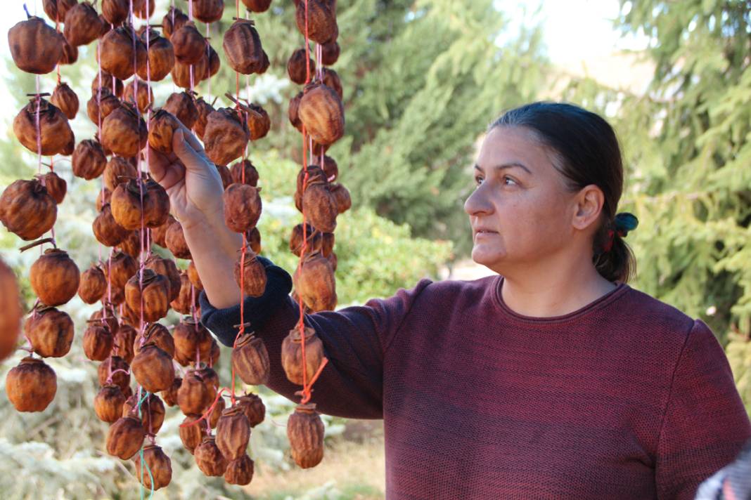 Kurusu yaşından 10 kat daha pahalı! Almak için çevre illerden yola düşüyorlar 5