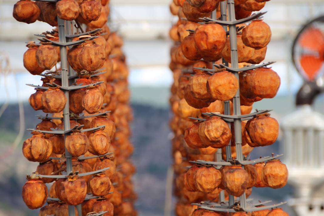 Kurusu yaşından 10 kat daha pahalı! Almak için çevre illerden yola düşüyorlar 6