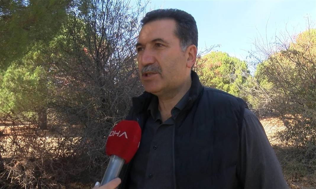 Kilosu bin lira! 25 metrelik ağaçlara tırmanıp sırıklarla topluyorlar 15