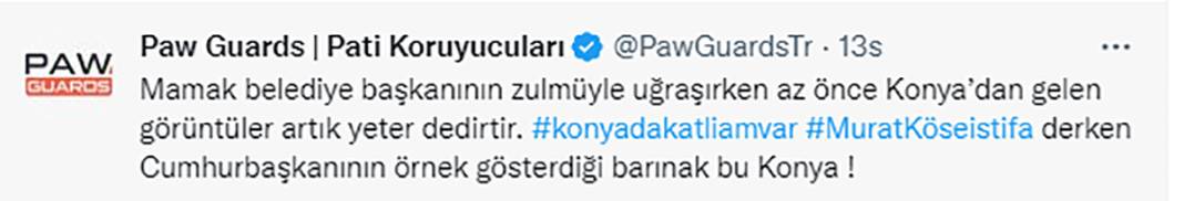 Elleriniz kırılsın! Konya Barınağı'ndaki işkence sosyal medyanın gündeminde 17