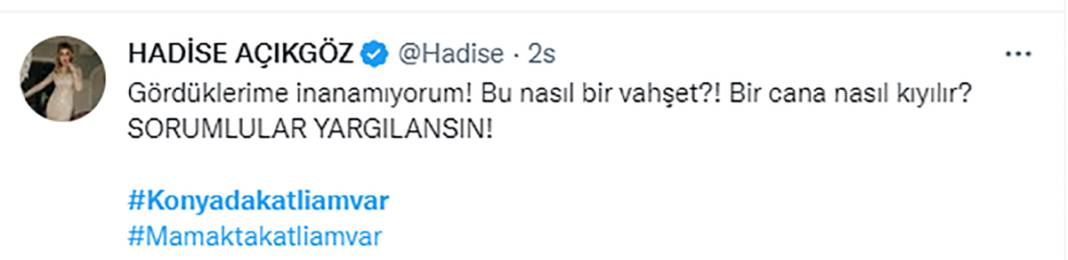 Elleriniz kırılsın! Konya Barınağı'ndaki işkence sosyal medyanın gündeminde 15