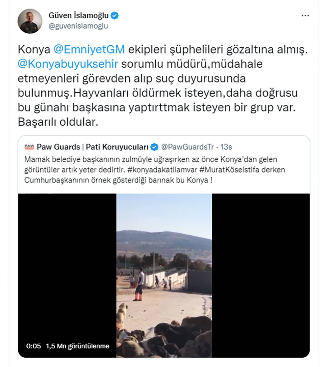 Elleriniz kırılsın! Konya Barınağı'ndaki işkence sosyal medyanın gündeminde 13