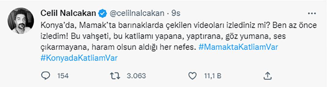 Elleriniz kırılsın! Konya Barınağı'ndaki işkence sosyal medyanın gündeminde 12