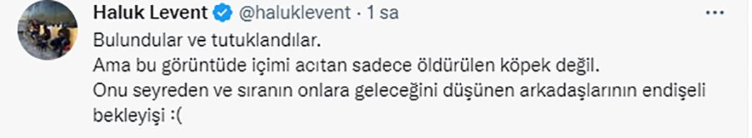 Elleriniz kırılsın! Konya Barınağı'ndaki işkence sosyal medyanın gündeminde 11