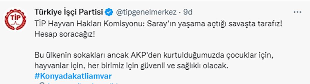 Elleriniz kırılsın! Konya Barınağı'ndaki işkence sosyal medyanın gündeminde 10