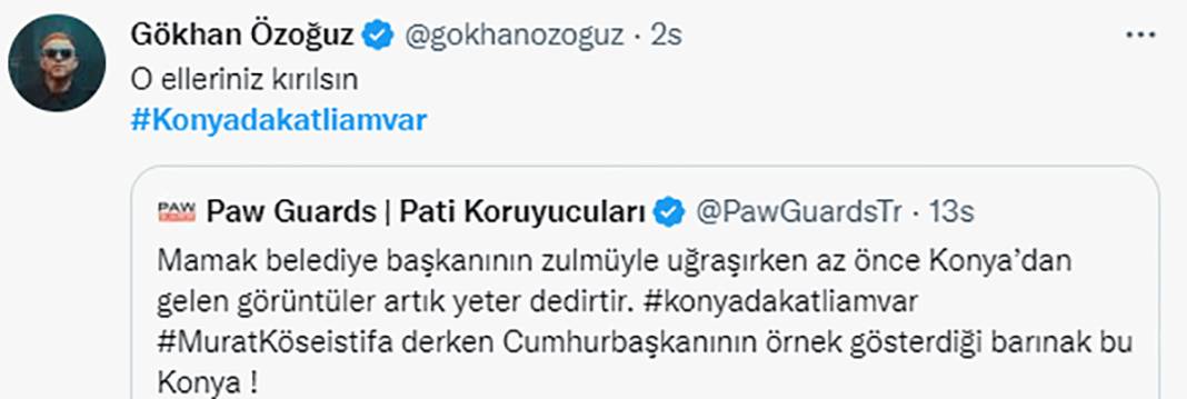 Elleriniz kırılsın! Konya Barınağı'ndaki işkence sosyal medyanın gündeminde 8