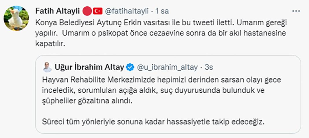 Elleriniz kırılsın! Konya Barınağı'ndaki işkence sosyal medyanın gündeminde 5