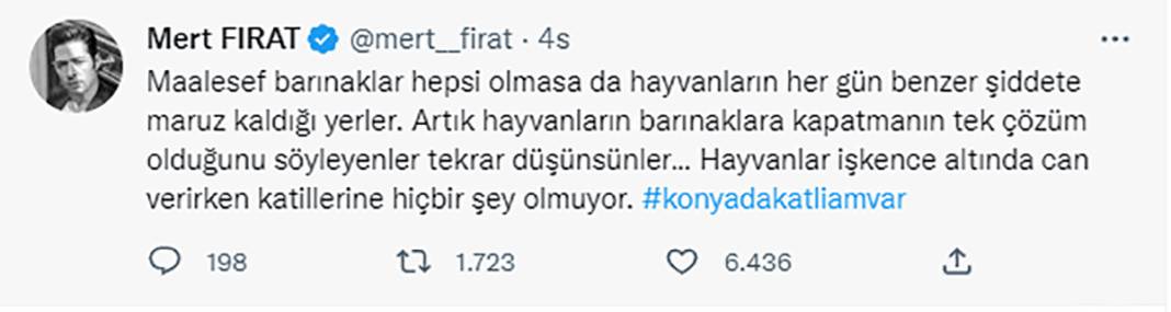 Elleriniz kırılsın! Konya Barınağı'ndaki işkence sosyal medyanın gündeminde 6