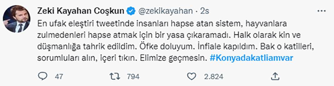 Elleriniz kırılsın! Konya Barınağı'ndaki işkence sosyal medyanın gündeminde 4