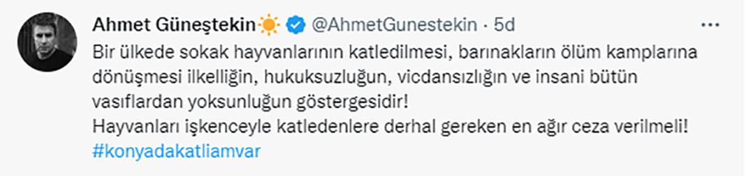 Elleriniz kırılsın! Konya Barınağı'ndaki işkence sosyal medyanın gündeminde 2