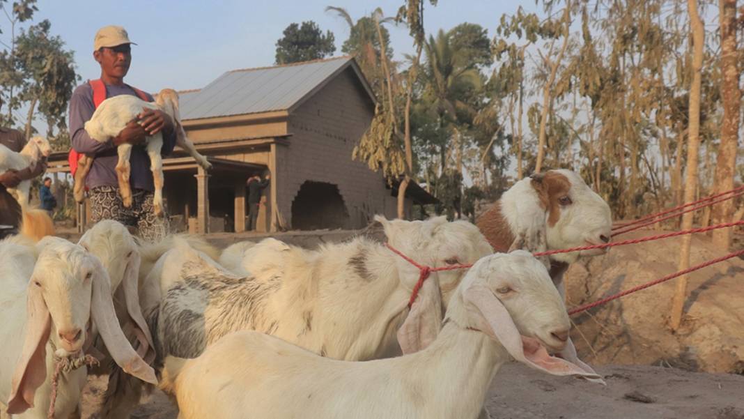 Deprem felaketinin ardından yeni alarm! Tahliyeler başladı 15