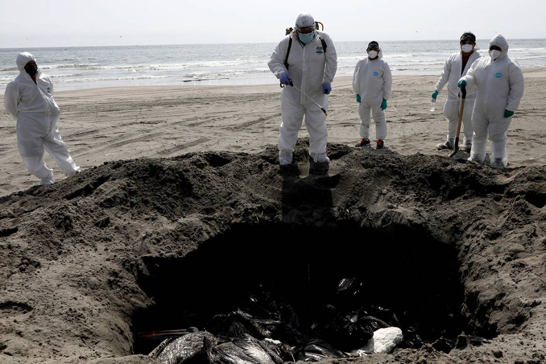 O ülkeden korkunç görüntüler! Ölüleri sahilden topluyorlar 13