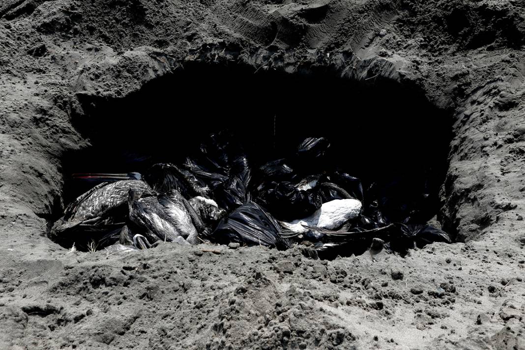 O ülkeden korkunç görüntüler! Ölüleri sahilden topluyorlar 12