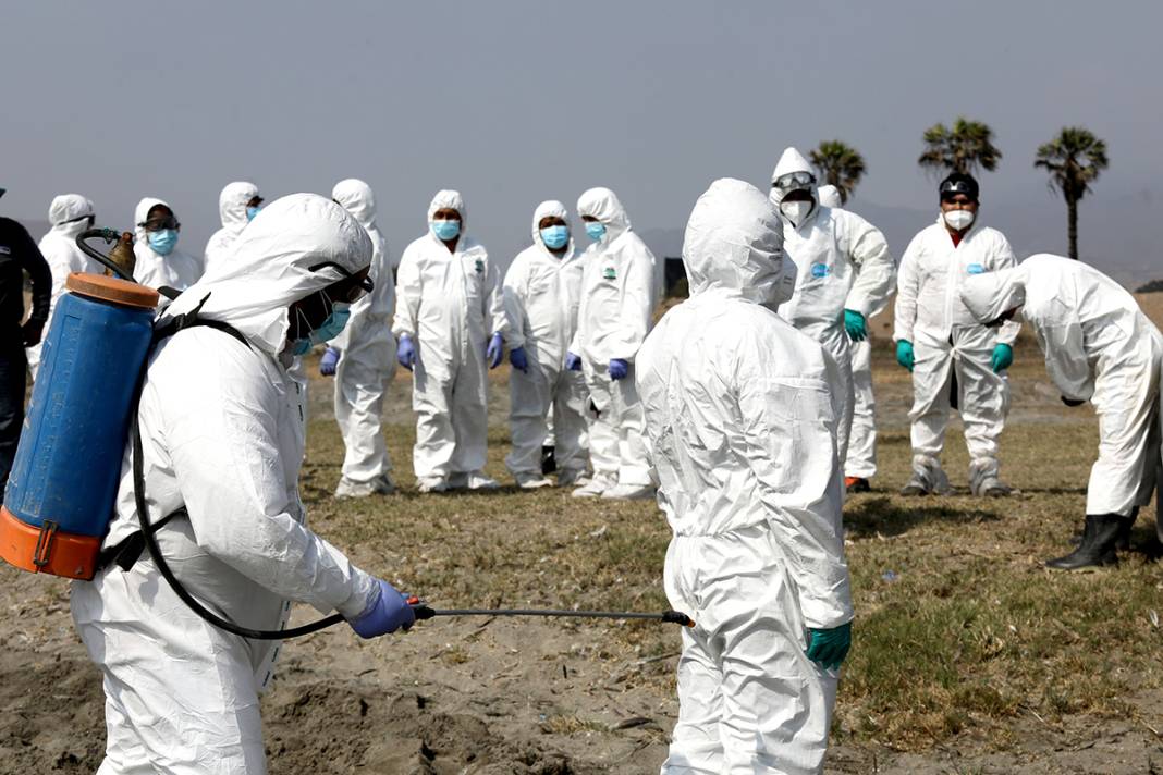 O ülkeden korkunç görüntüler! Ölüleri sahilden topluyorlar 10