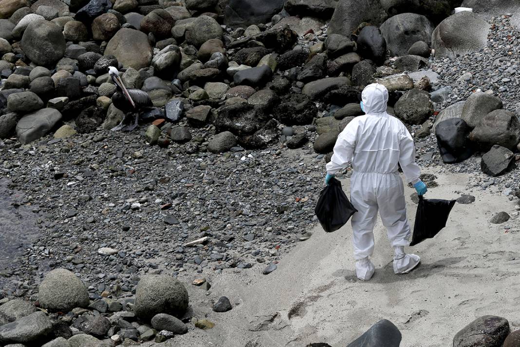 O ülkeden korkunç görüntüler! Ölüleri sahilden topluyorlar 8