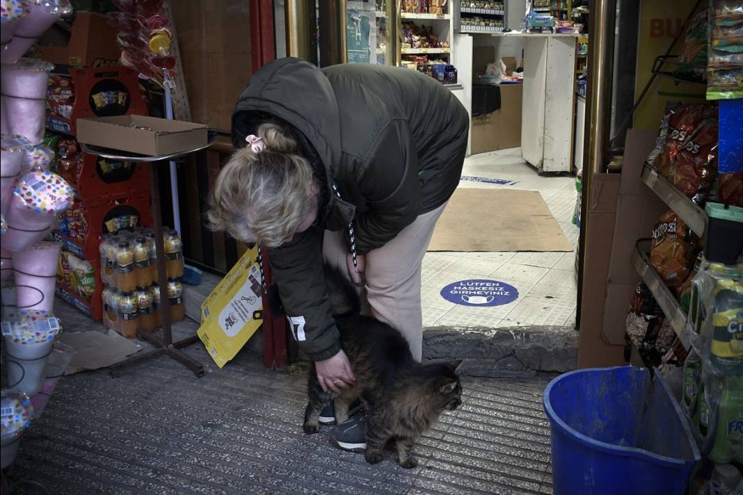 Esnaf ile kedilerin arasındaki samimiyet tebessüm ettirdi: Mamalarını vermeden bana rahat uyku yok 19