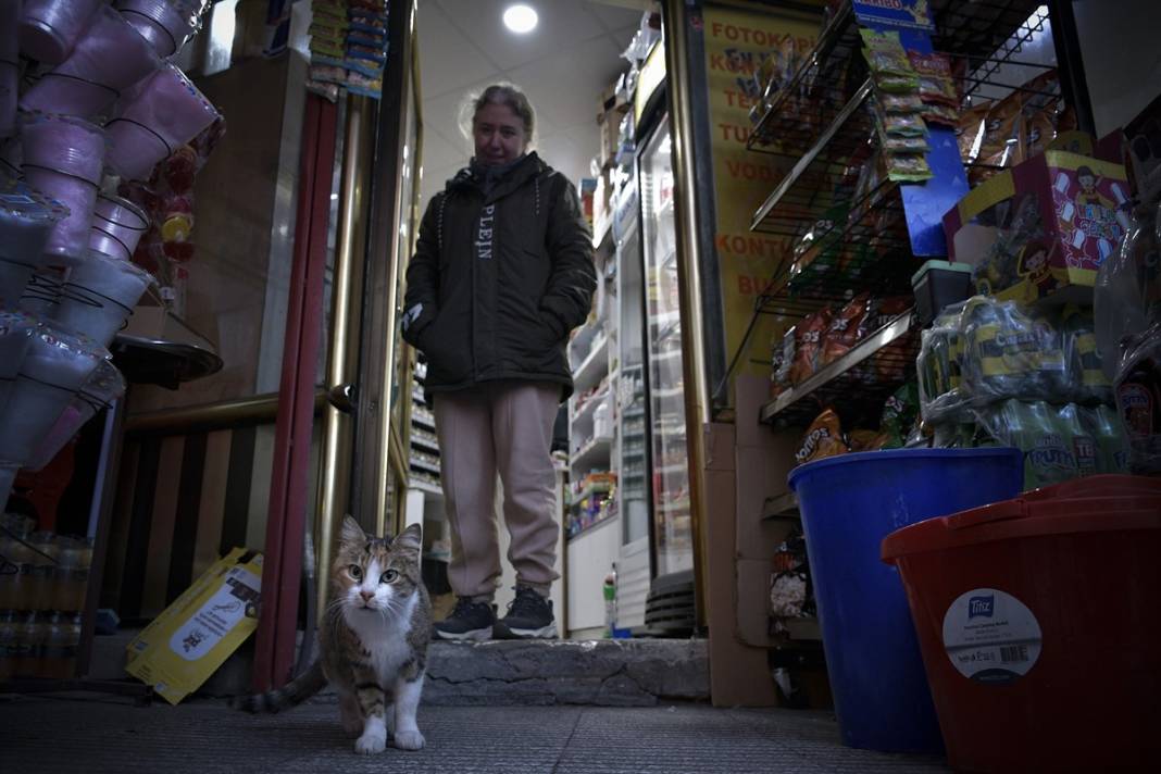 Esnaf ile kedilerin arasındaki samimiyet tebessüm ettirdi: Mamalarını vermeden bana rahat uyku yok 18