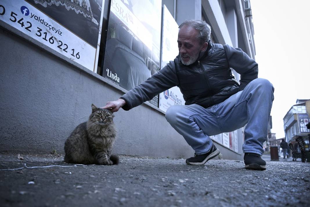 Esnaf ile kedilerin arasındaki samimiyet tebessüm ettirdi: Mamalarını vermeden bana rahat uyku yok 17