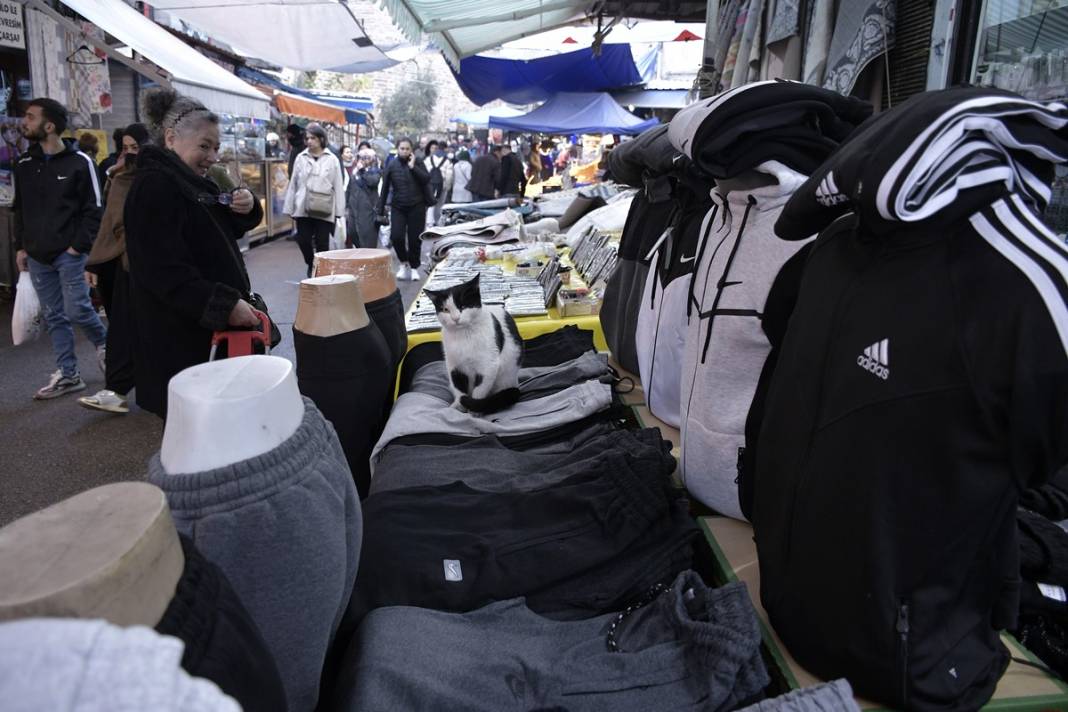 Esnaf ile kedilerin arasındaki samimiyet tebessüm ettirdi: Mamalarını vermeden bana rahat uyku yok 16