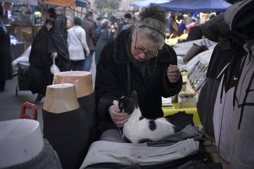 Esnaf ile kedilerin arasındaki samimiyet tebessüm ettirdi: Mamalarını vermeden bana rahat uyku yok 14