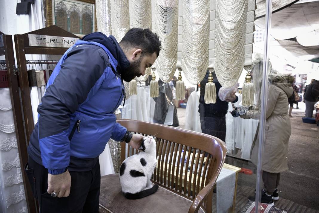 Esnaf ile kedilerin arasındaki samimiyet tebessüm ettirdi: Mamalarını vermeden bana rahat uyku yok 26