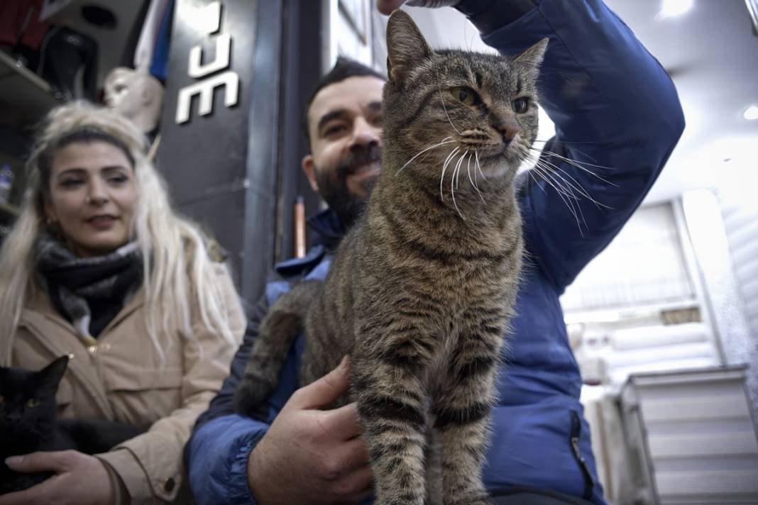 Esnaf ile kedilerin arasındaki samimiyet tebessüm ettirdi: Mamalarını vermeden bana rahat uyku yok 22