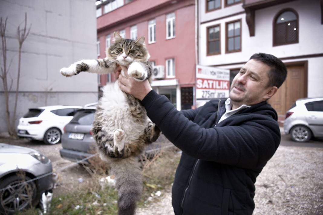 Esnaf ile kedilerin arasındaki samimiyet tebessüm ettirdi: Mamalarını vermeden bana rahat uyku yok 20