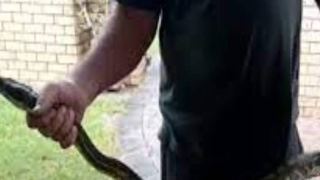 Kan donduran anlar kamerada! Dev yılan küçük çocuğu böyle ağzına aldı... Görenler dehşete düştü 5