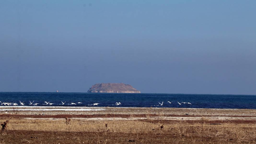 Rusya'dan göç edip Van'a geldiler: Jandarmadan kuğu nöbeti 4