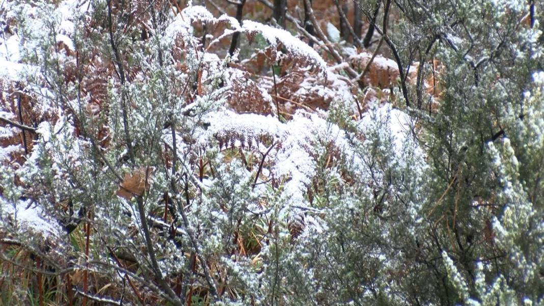 Ve kar İstanbul'da... Birçok bölge beyaza büründü 2