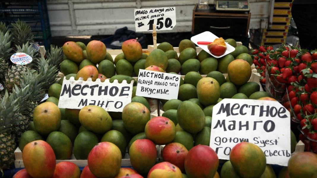 Antalya'da Rus ve Ukraynalı etkisi: Mahkemeler tıkandı, memurlar tayin istiyor 2