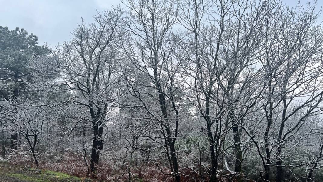 Ve kar İstanbul'da... Birçok bölge beyaza büründü 3