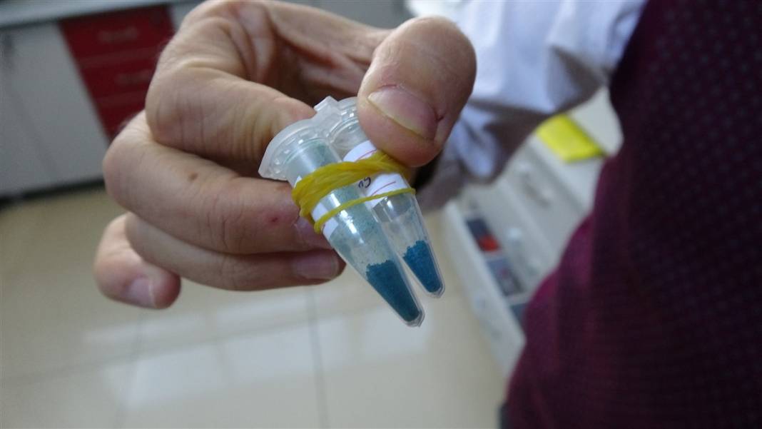 Türk bilim insanlarından çığır açacak buluş! Kötü huylu kanser hücresini yok ettiler 1