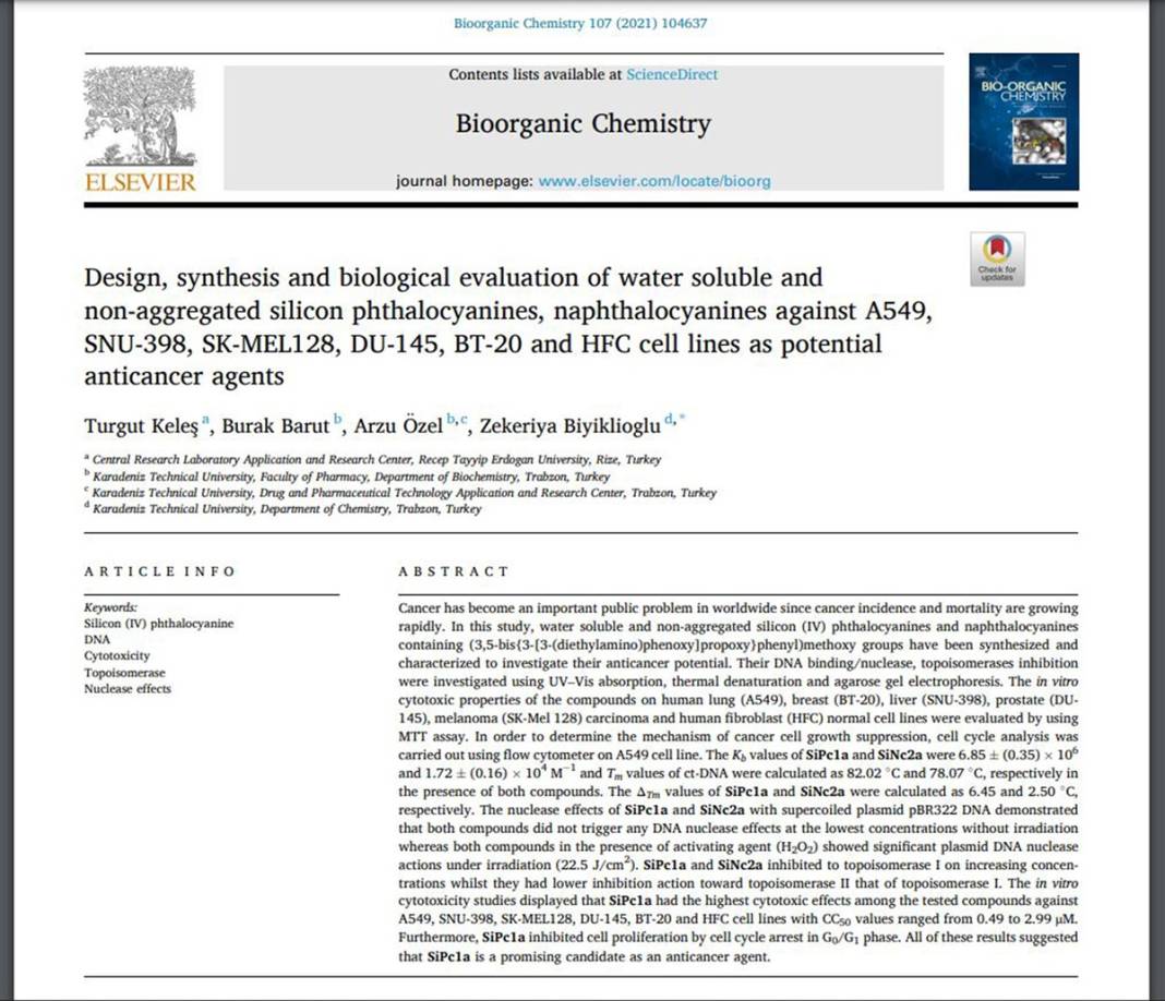 Türk bilim insanlarından çığır açacak buluş! Kötü huylu kanser hücresini yok ettiler 13