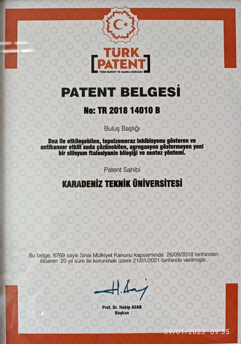 Türk bilim insanlarından çığır açacak buluş! Kötü huylu kanser hücresini yok ettiler 15