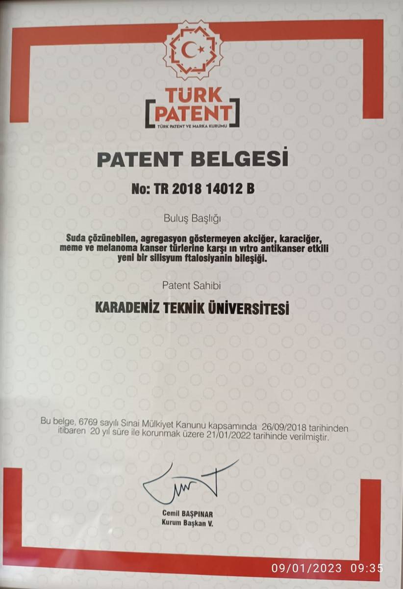 Türk bilim insanlarından çığır açacak buluş! Kötü huylu kanser hücresini yok ettiler 14