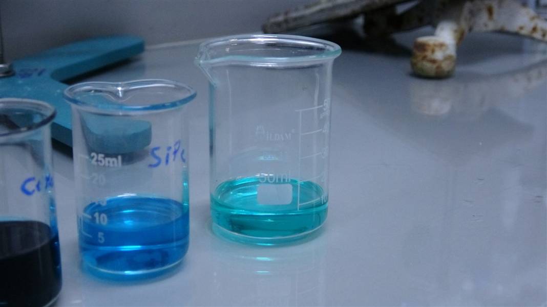 Türk bilim insanlarından çığır açacak buluş! Kötü huylu kanser hücresini yok ettiler 6