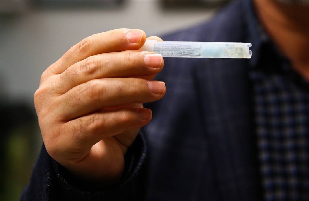 Bilim dünyasını heyecanlandıran canlı! Zonguldak'taki mağarada keşfedildi 8