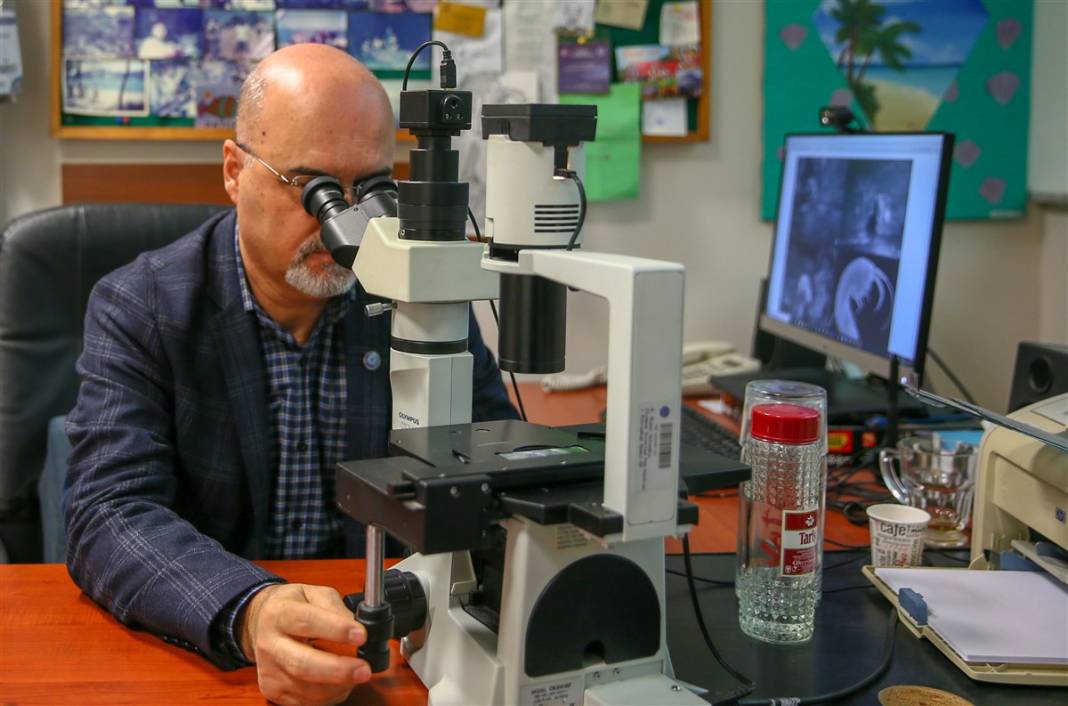Bilim dünyasını heyecanlandıran canlı! Zonguldak'taki mağarada keşfedildi 5