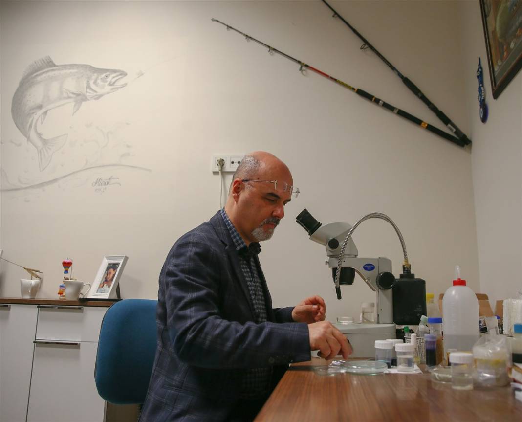 Bilim dünyasını heyecanlandıran canlı! Zonguldak'taki mağarada keşfedildi 3