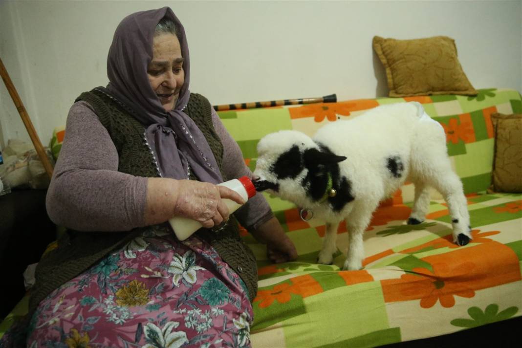Biberonla besliyor, altına bez bağlıyor... 'Boncuk' Gülcihan teyzenin dördüncü çocuğu oldu 15