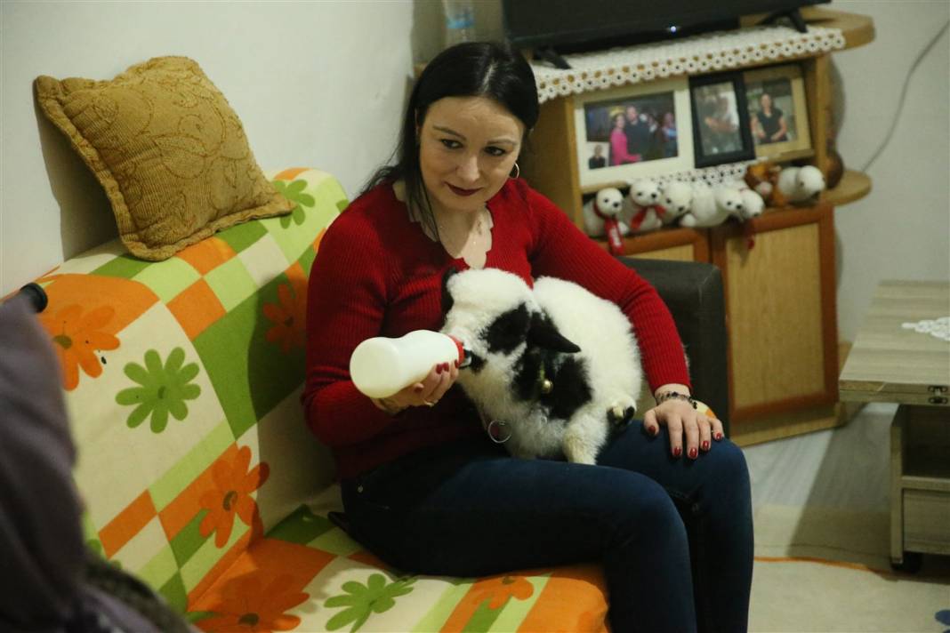 Biberonla besliyor, altına bez bağlıyor... 'Boncuk' Gülcihan teyzenin dördüncü çocuğu oldu 12