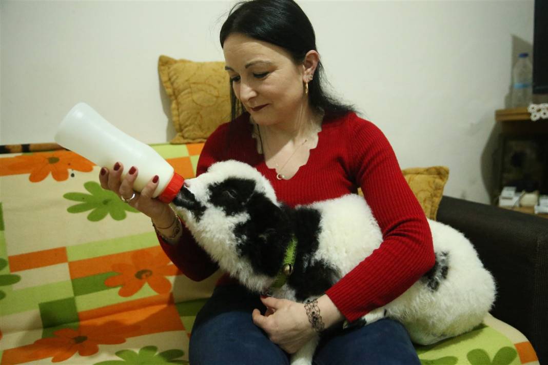 Biberonla besliyor, altına bez bağlıyor... 'Boncuk' Gülcihan teyzenin dördüncü çocuğu oldu 14